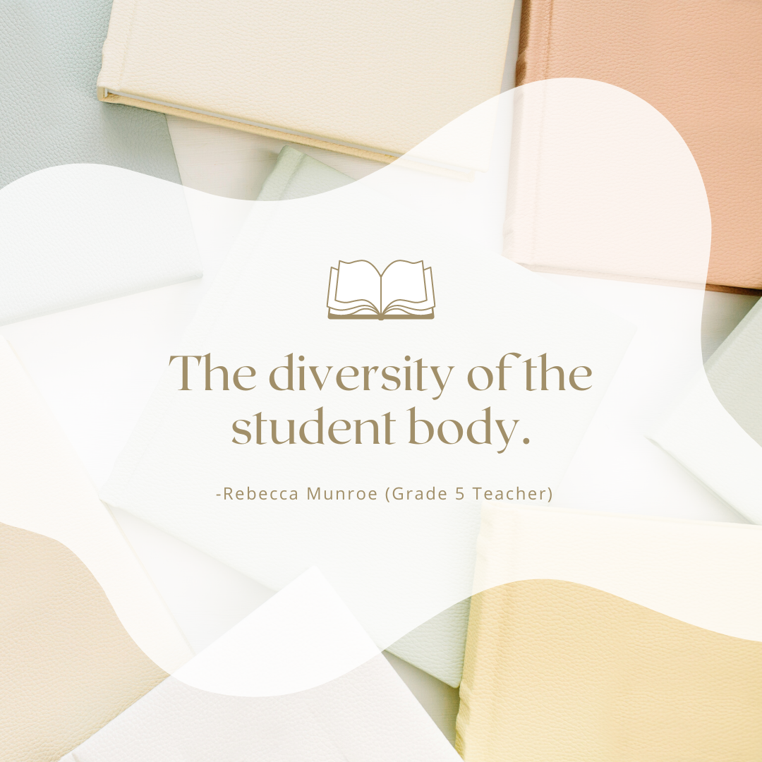 The diversity of the student body.